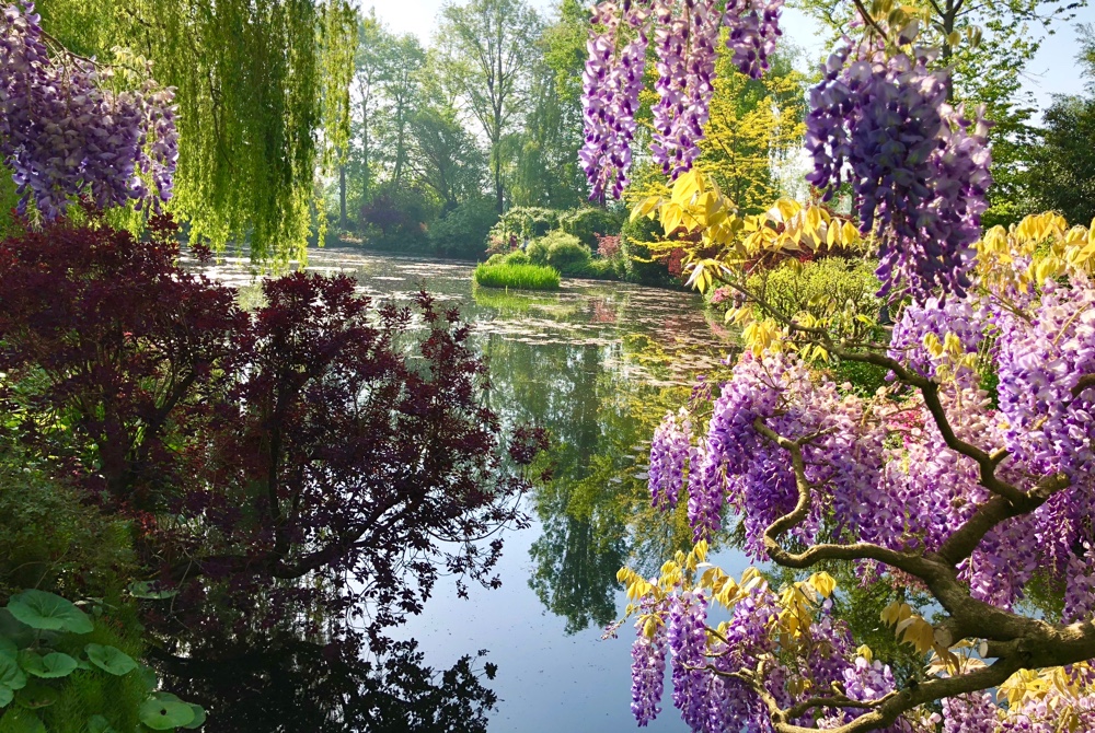 Descubra en Giverny (Francia) la extraordinaria belleza inalterada de los jardines que inspiraron algunos de los cuadros más hermosos de Monet... A-ROSA-VIVA A ROSA VIVA A ROSA CRUCEROS A-ROSA KREUZFAHRTEN AROSA CRUISES CRUCEROS AROSA CRUCEROS EN ESPAÑOL CRUCEROS PANAVISION CRUCEROS FLUVIALES PANAVISION CRUCEROS SENA CRUCEROS FRANCIA CRUCEROS RIO SENA SEINE CRUISES #Arosa #Arosaviva #Arosacruises #SeineCruises #CrucerosSena #Creuers #CrucerosFrancia #Givery #Monet #JardinesMonet